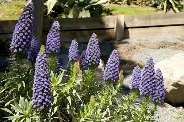 Discover the best energy-efficient windows for chilly uk homes